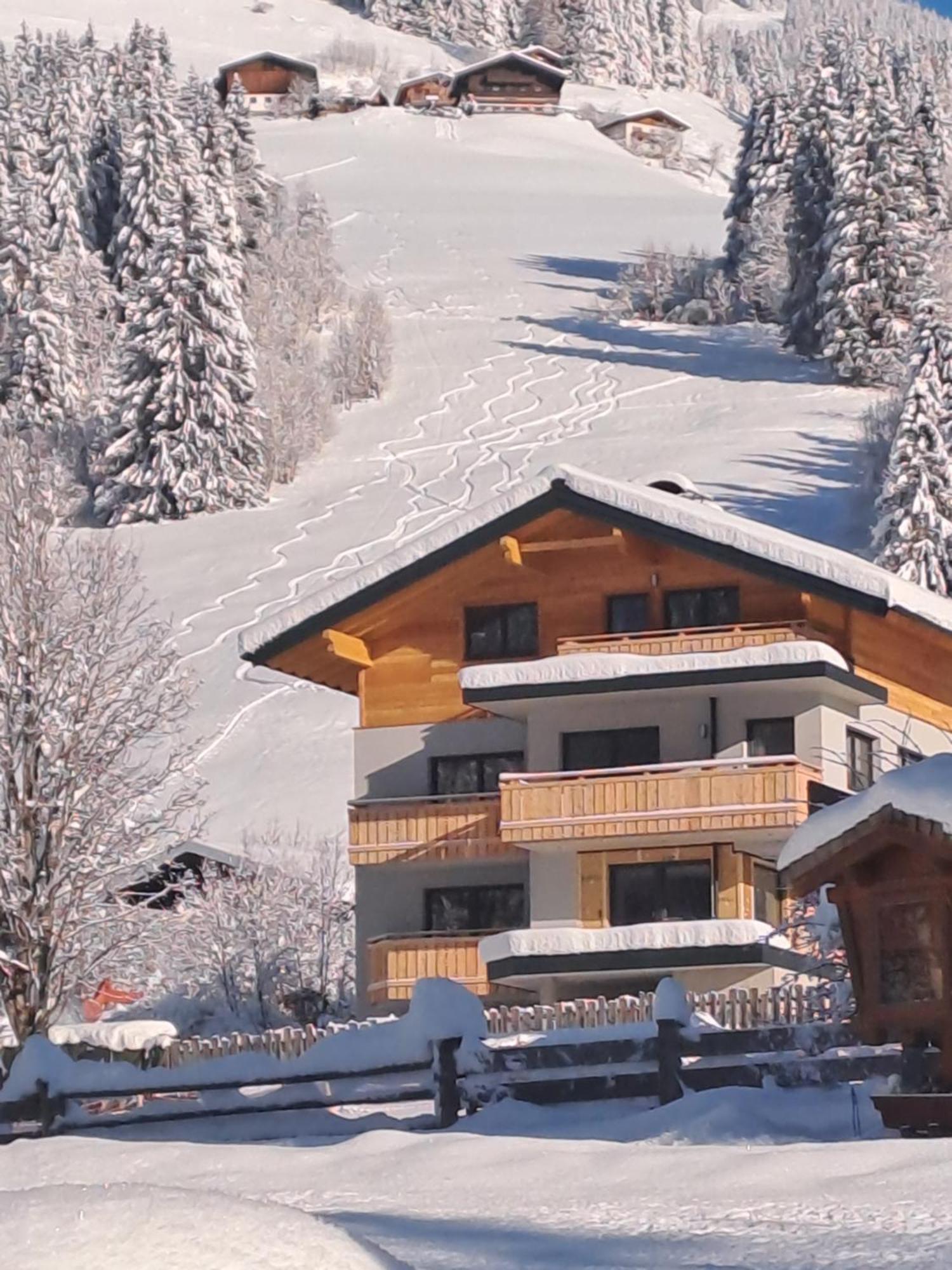 Zimmer & Appartements Schwarzenbacher Sonja & Konrad Kleinarl Ngoại thất bức ảnh